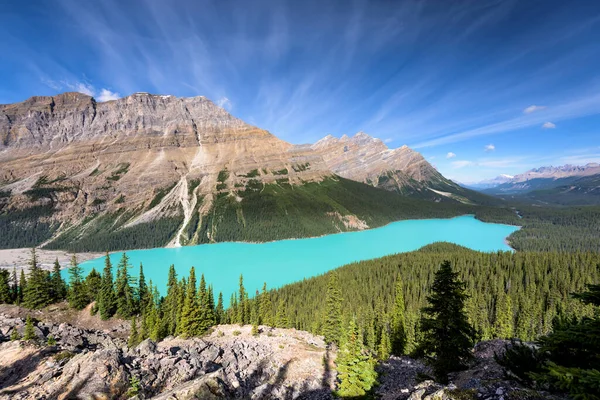 Όμορφη Λίμνη Peyto Banff National Park Αλμπέρτα Καναδάς — Φωτογραφία Αρχείου