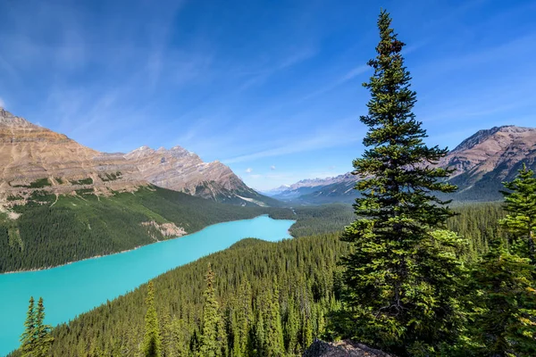 Schöner Peyto See Banff Nationalpark Alberta Kanada — Stockfoto