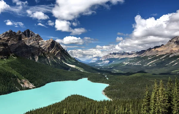 Belo Lago Peyto Parque Nacional Banff Alberta Canadá — Fotografia de Stock