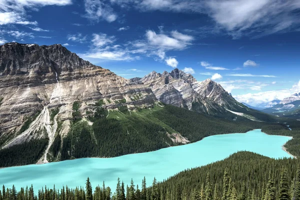 Vacker Peyto Lake Banff National Park Alberta Kanada — Stockfoto