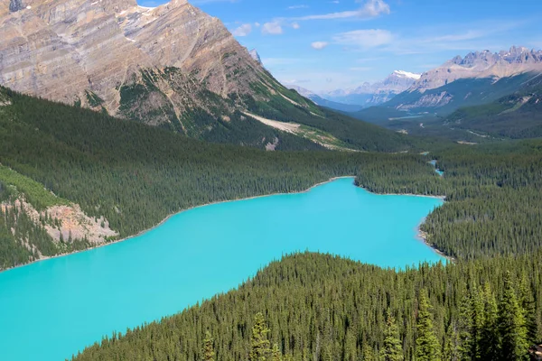 Danau Peyto Yang Indah Taman Nasional Banff Alberta Kanada — Stok Foto