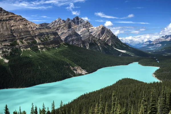 Belo Lago Peyto Parque Nacional Banff Alberta Canadá — Fotografia de Stock