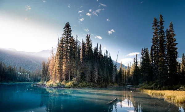 Vacker Emerald Sjö Sommaren Yoho Nationalpark British Columbia Kanada — Stockfoto