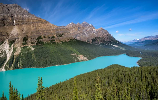 Bellissimo Lago Peyto Banff National Park Alberta Canada — Foto Stock