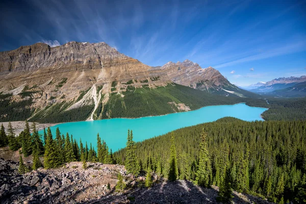 Jezioro Peyto Park Narodowy Banff Alberta Kanada — Zdjęcie stockowe