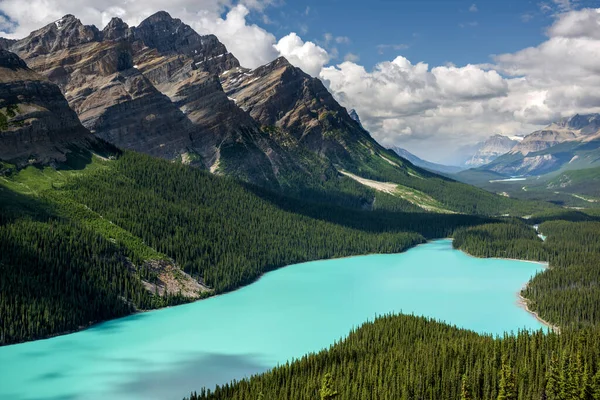 Belo Lago Peyto Parque Nacional Banff Alberta Canadá — Fotografia de Stock