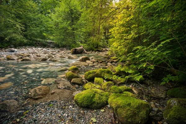 Prachtig Lenteherfstlandschap Canada — Stockfoto