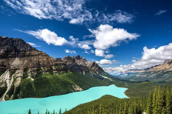 Hermoso Lago Peyto Parque Nacional Banff Alberta Canadá —  Fotos de Stock