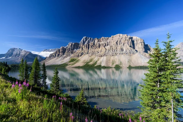 Danau Bow Taman Nasional Banff Alberta Kanada — Stok Foto