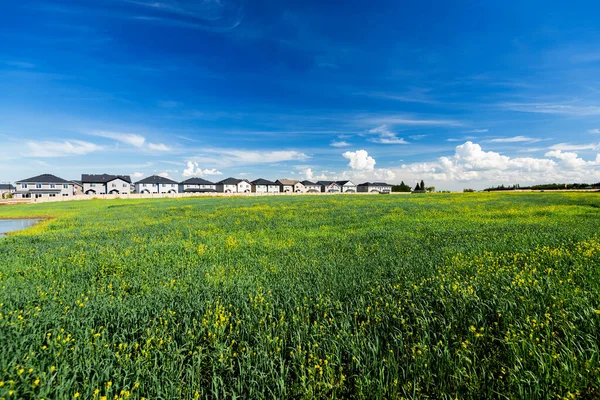 Mooie Huizen Zomer Canada — Stockfoto