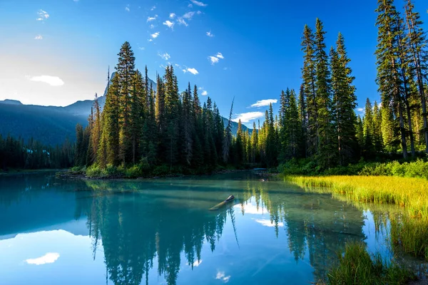 Изумрудное Озеро Летом Национальный Парк Британская Колумбия Канада — стоковое фото