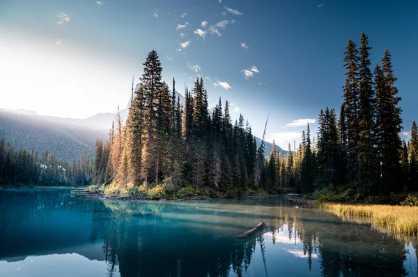 Vacker Emerald Sjö Sommaren Yoho Nationalpark British Columbia Kanada — Stockfoto