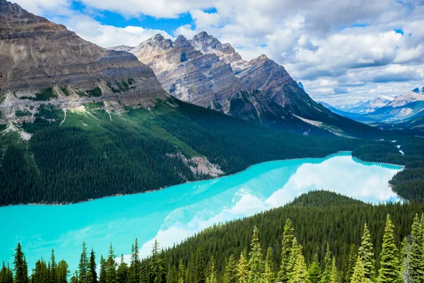 Όμορφη Λίμνη Peyto Banff National Park Αλμπέρτα Καναδάς — Φωτογραφία Αρχείου