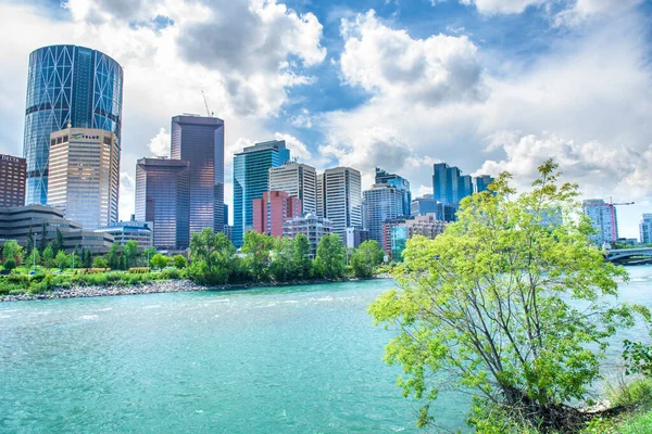 Prachtige Calgary Stad Alberta Canada — Stockfoto