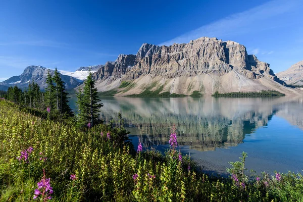 ทะเลสาบโบว ทยานแห งชาต Banff ลเบอร แคนาดา รูปภาพสต็อก