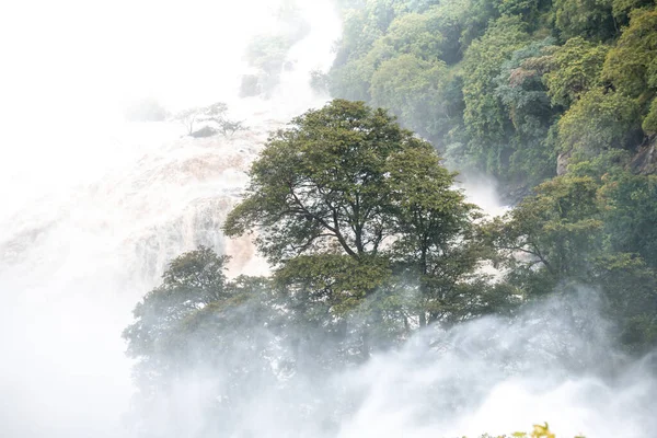 Shivanasamudra Jatuh Distrik Chamarajanagar Negara Bagian Karnataka India — Stok Foto