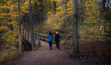 Kanada 'da güzel sonbahar manzarası