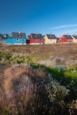 Grönland 'da Ilulissat' ın güzel manzarası