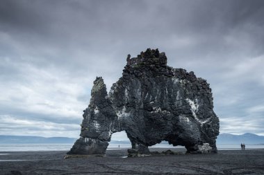 İzlanda 'da Hvtserkur Hvitserkur Deniz Yığını