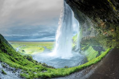 Seljalandsfoss Şelalesi Yazın İzlanda 'da