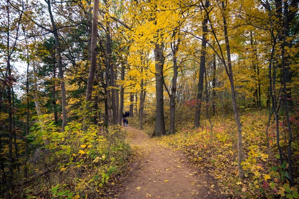カナダの美しい秋の風景 — ストック写真