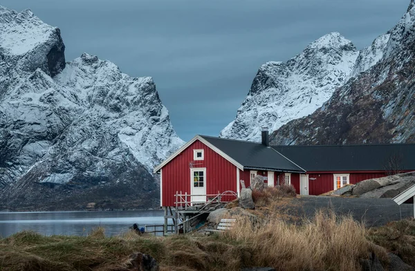Bela Paisagem Inverno Lofoten Islands Noruega — Fotografia de Stock