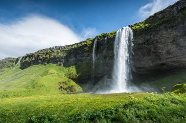 Seljalandsfoss Şelalesi Yazın İzlanda 'da