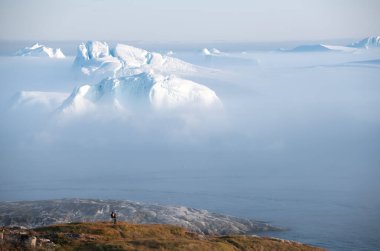 Büyük buzdağları olan güzel bir manzara.