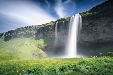 Seljalandsfoss Şelalesi Yazın İzlanda 'da