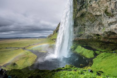 Seljalandsfoss Şelalesi Yazın İzlanda 'da