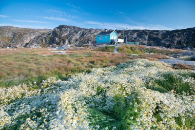 Grönland 'da Ilulissat' ın güzel manzarası