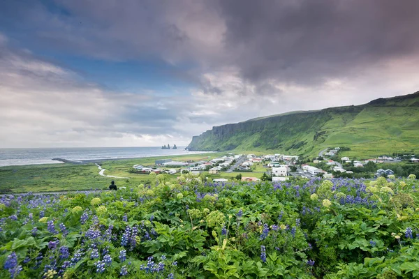 Bellissimo Villaggio Vik Nel Sud Dell Islanda — Foto Stock