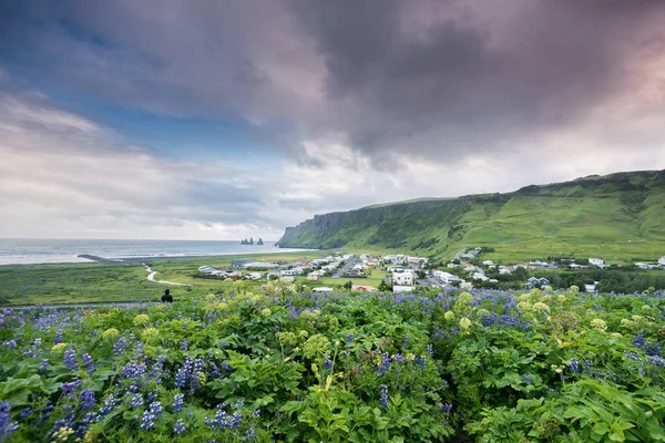 Magnifique Village Vik Dans Sud Islande — Photo