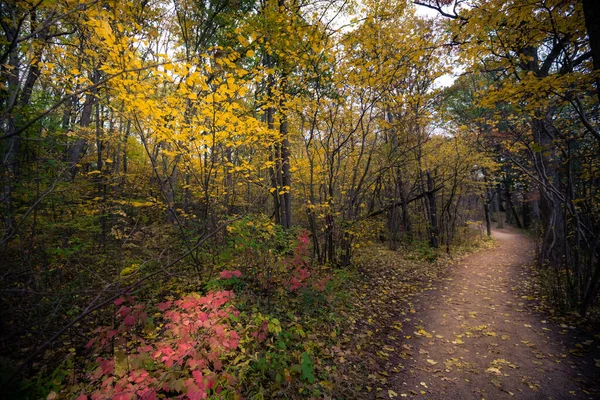 カナダの美しい秋の風景 — ストック写真