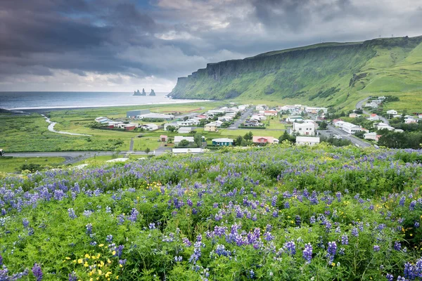 아이슬란드 남부의 아름다운 — 스톡 사진