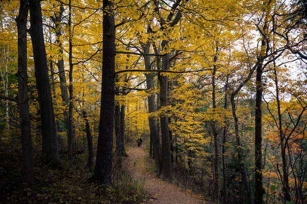 Hermoso Otoño Paisaje Otoño Canadá — Foto de Stock