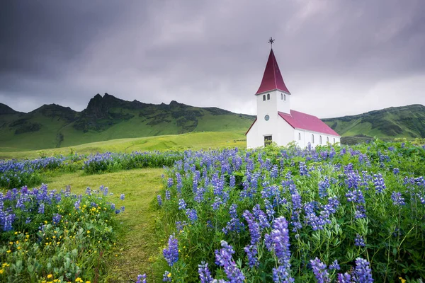 Hermosa Iglesia Vik Verano Islandia — Foto de Stock