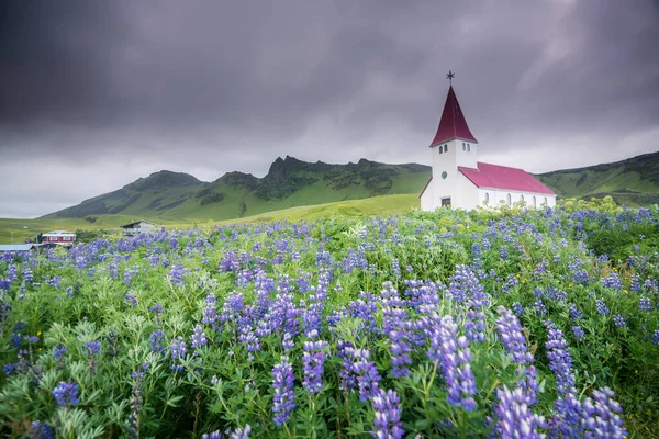 Hermosa Iglesia Vik Verano Islandia —  Fotos de Stock