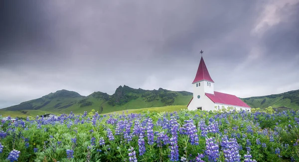 Hermosa Iglesia Vik Verano Islandia — Foto de Stock