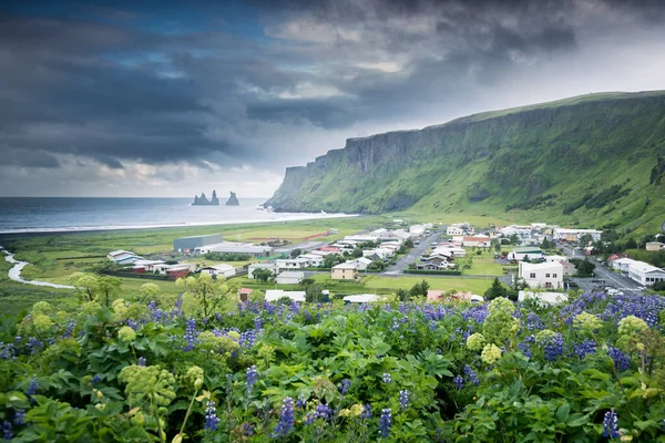 Hermoso Pueblo Vik Sur Islandia Imagen De Stock
