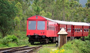 Ella, Sri Lanka 'da ünlü tren yolculuğu.