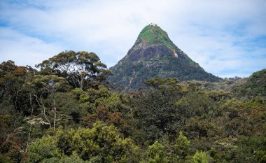 Sri Pada, Adam 'ın Sri Lanka' daki zirvesi