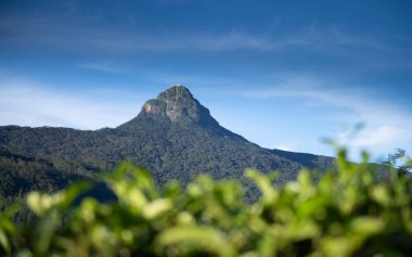 Sri Pada, Adam 'ın Sri Lanka' daki zirvesi