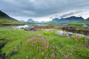 Norveç 'te yaz mevsiminde Lofoten Adaları' nda güzel bir manzara