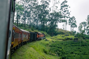 Ella, Sri Lanka 'da ünlü tren yolculuğu.