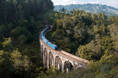 Ella, Sri Lanka 'daki ünlü dokuz kemerli köprüye tren varmak üzere.