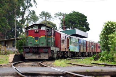 Ella, Sri Lanka 'da ünlü tren yolculuğu.