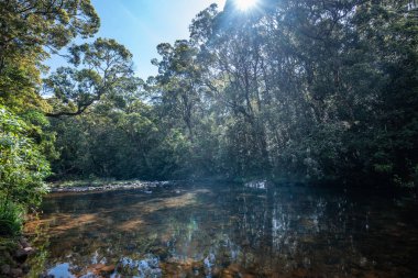Maskeliya, Sri Lanka 'daki balıkçı kulübesinde güzel bir manzara.