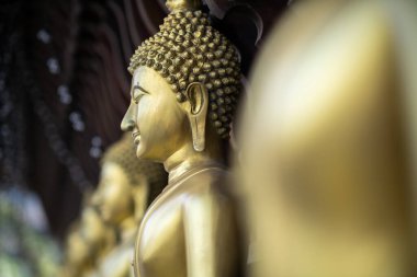 Colombo, Sri Lanka 'daki Gangaramaya Seema Malaka Tapınağı.