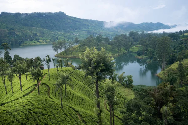 Bela Paisagem Sri Lanka — Fotografia de Stock